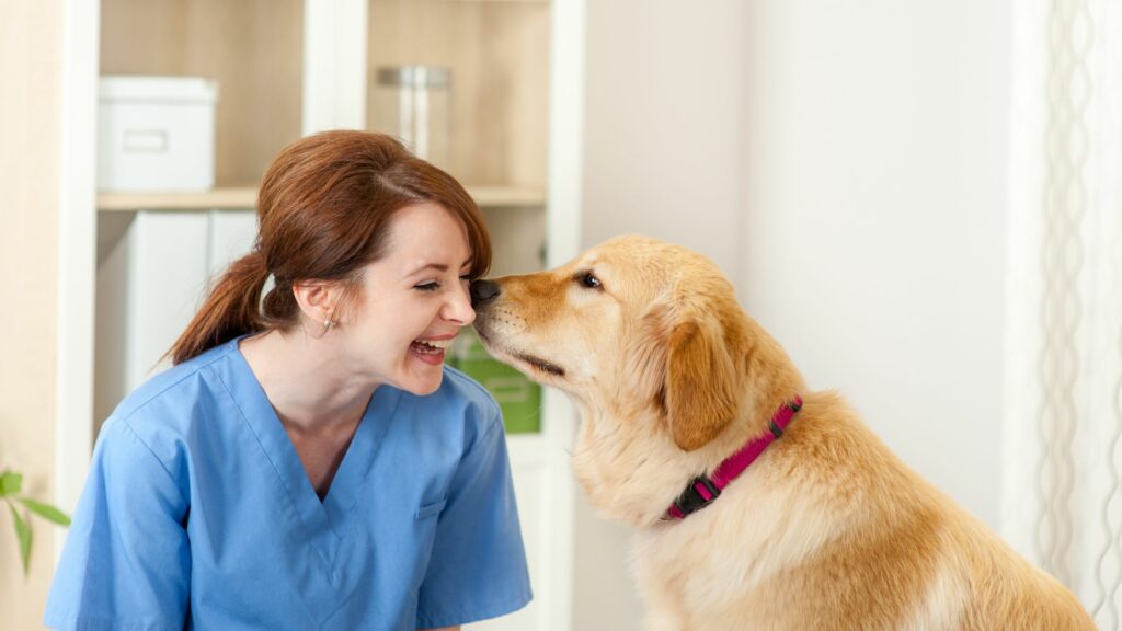 Ansia da separazione del cane