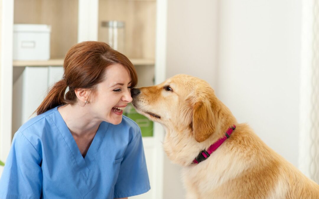 Il comportamentalista veterinario