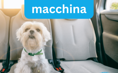 Il cane e la macchina extra