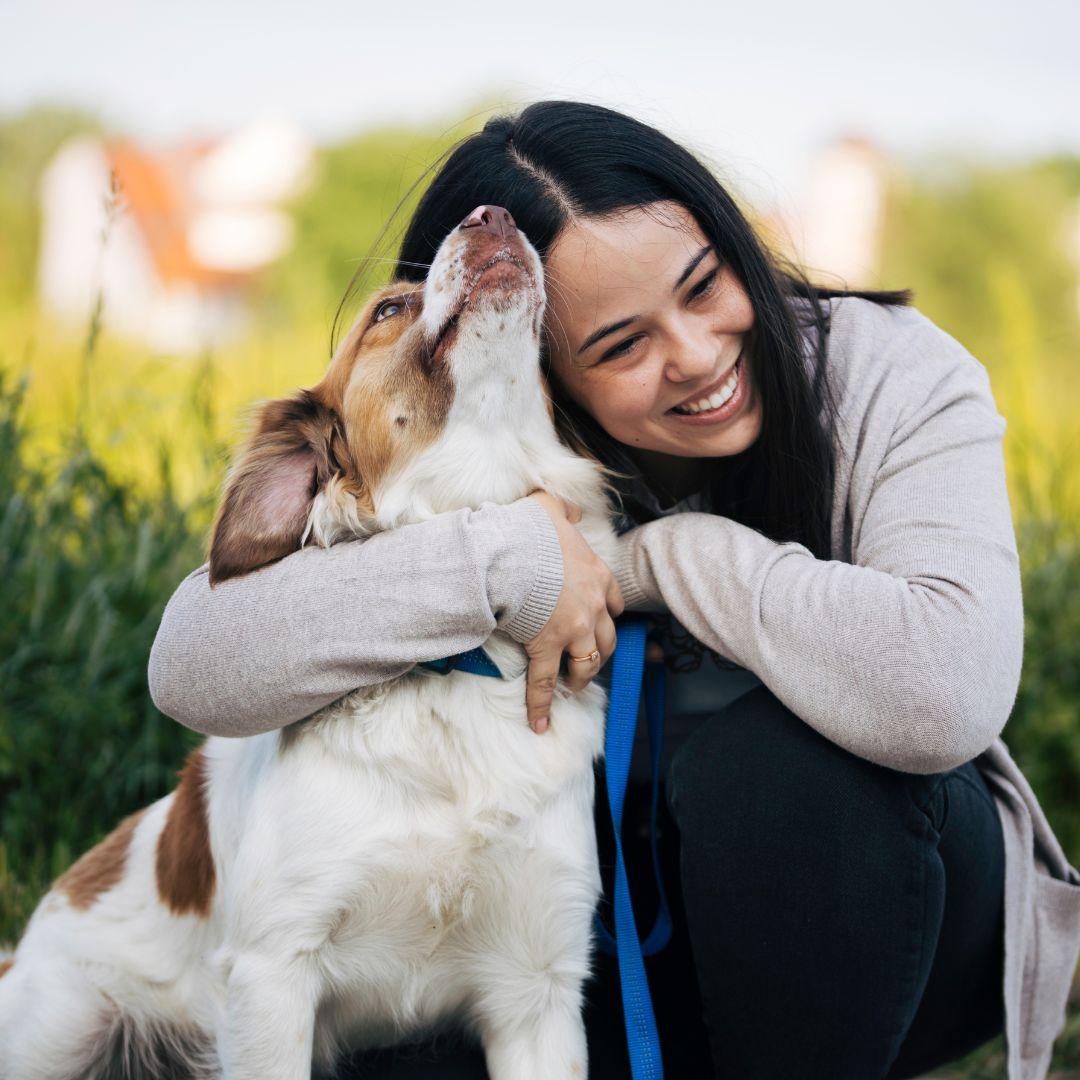 educazione cane