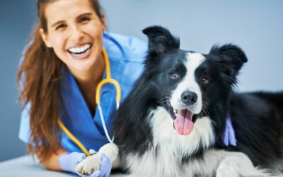 Il nutrizionista veterinario