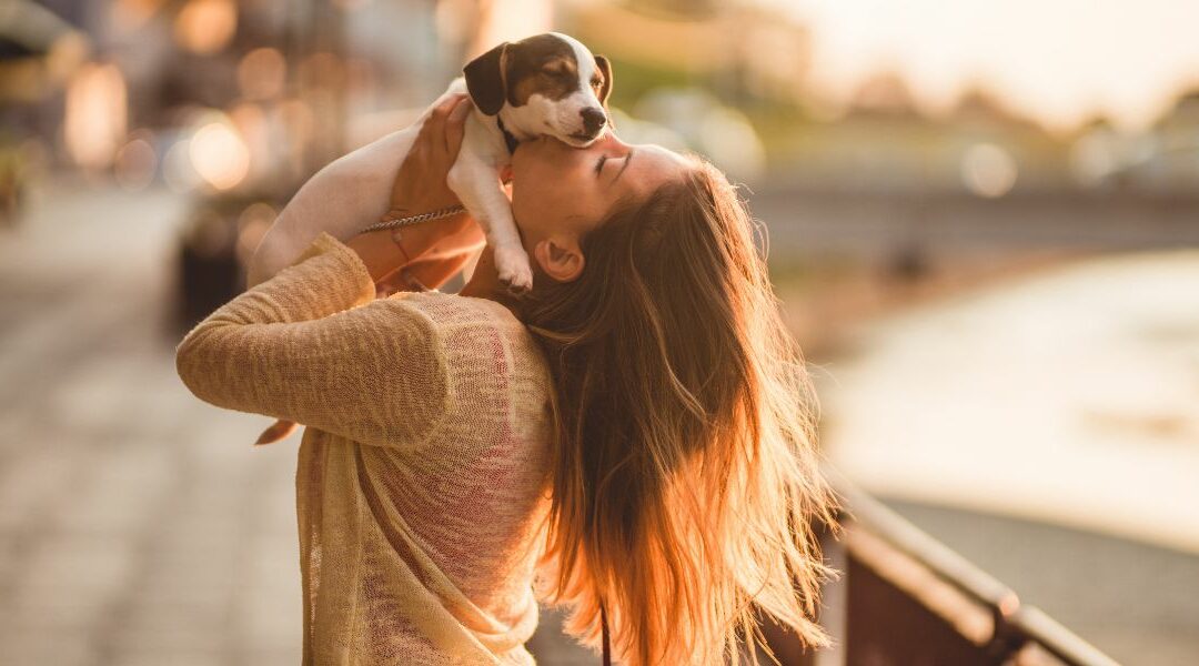 Qual è il miglior cane da compagnia?