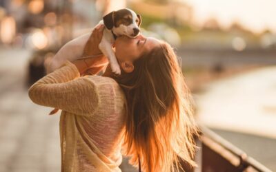 Qual è il miglior cane da compagnia?