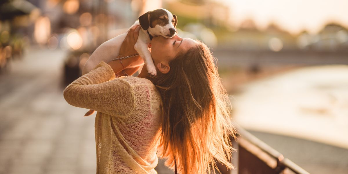 Qual è il miglior cane da compagnia?